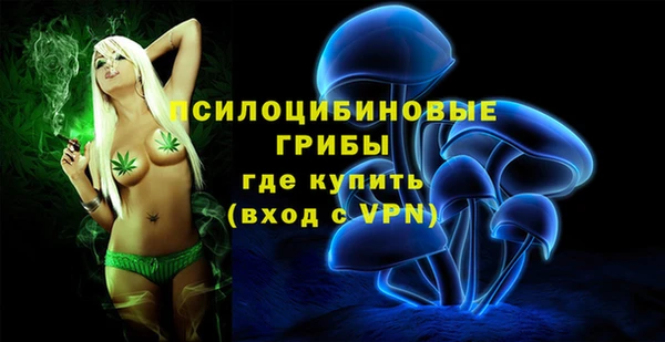 тгк Алзамай